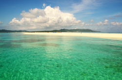 �����������ʐ^