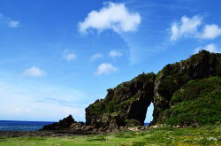 �������C�l�����ʐ^