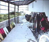 �l�v�`���[���E�_�C�o�[�Y�̊�ސ􂢏�E����